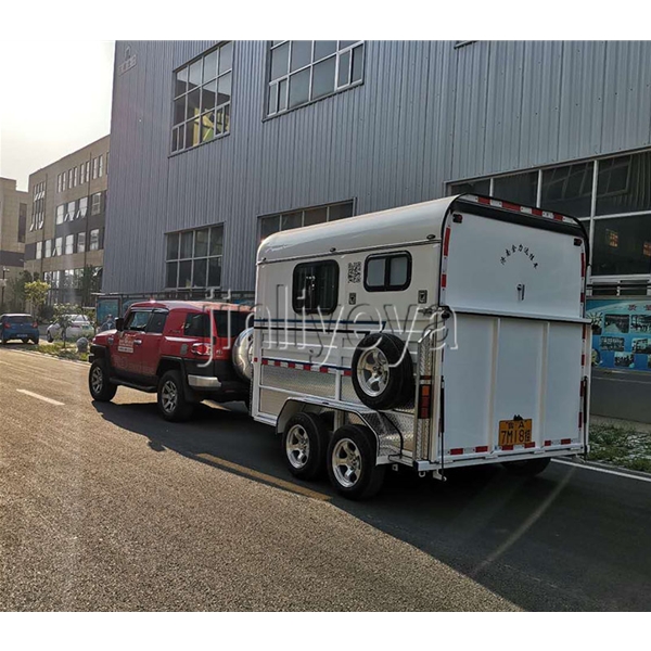 河南两马方头车